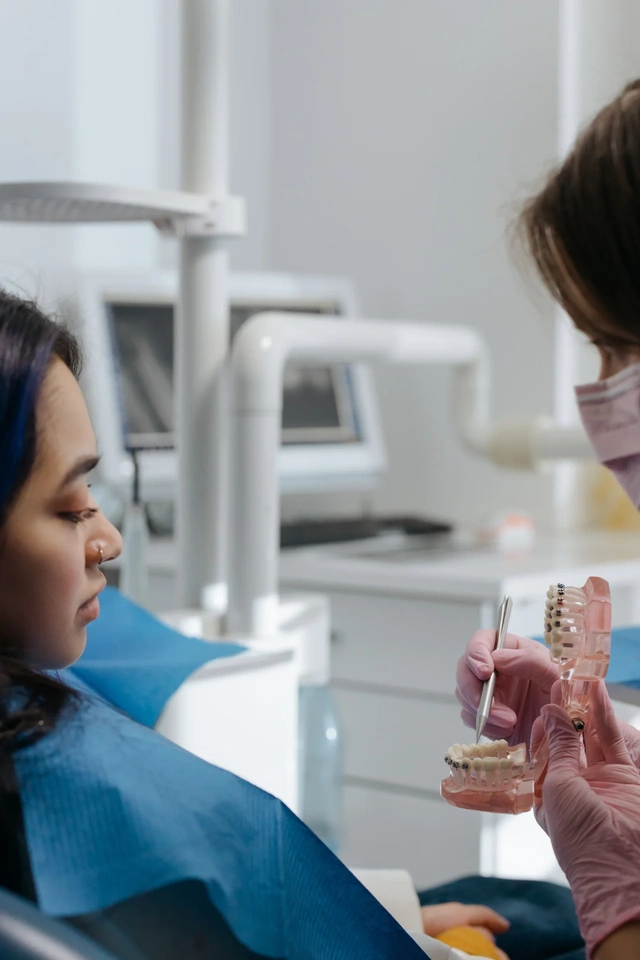 A dental professional explaining care with a dental model during a patient consultation